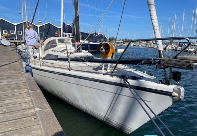Dehler 34 Optima 101 — Billede 1