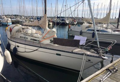Blue Dane 32 — Billede 2