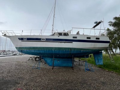 Borghegn 43 — Billede 1