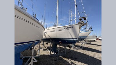 Bavaria 32 — Billede 11