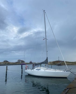 Albin Marin Scampi 30 — Bild 1