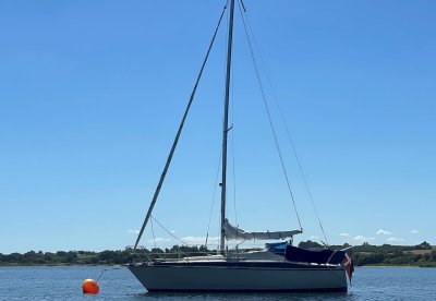 Maxi 84 — Billede 6