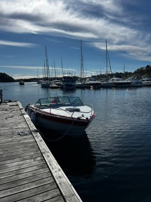 Chris-Craft 210 Scorpion limited — Bild 2