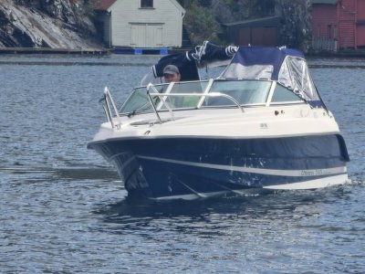Uttern D55 — Bilde 13