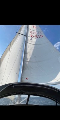 Albin Marin Scampi 30 — Bild 3