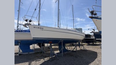 Bavaria 32 — Billede 4