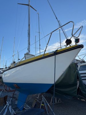 Smiling Turseiler — Bilde 6