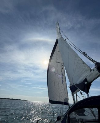 Bavaria 36 Holiday — Kuva 5