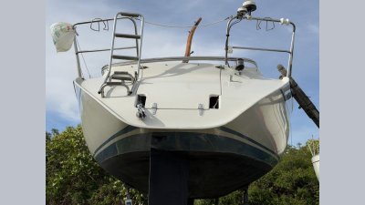 Dehler 34 — Billede 5