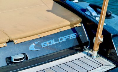 Goldfish 29 Rib Tender — Kuva 8