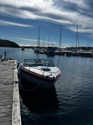 Chris-Craft 210 Scorpion limited — Bild 6