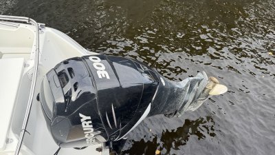 Silver CONDOR 730 — Billede 3