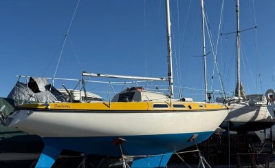 Smiling Turseiler — Bilde 5