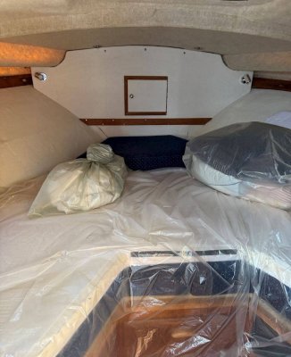 Bertram 30 Fly — Billede 6