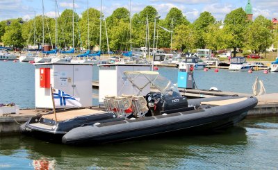 Goldfish 29 Rib Tender — Kuva 2