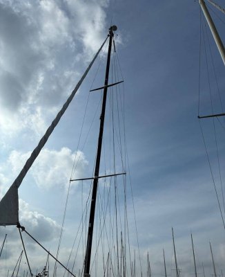 Blue Dane 32 — Billede 4